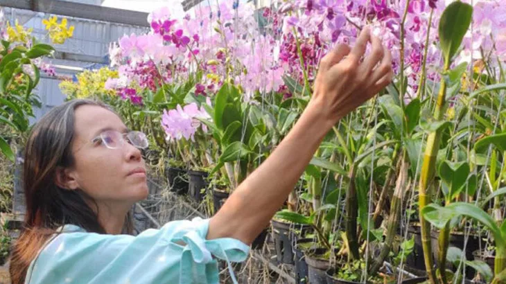 Chị Liêu Thị Kim Phượng bên vườn hoa lan nhiều mặt bông do chị lai tạo giống - Ảnh: K.ANH